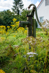 An old rusty water hand pump in a green backyard.