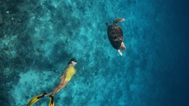 Yong female diving woman swimming in ocean with turtle. Happy underwater adventure, beautiful athletic girl Use for fitness, lifestyle advertising, commercial. Medium shot on RED camera, slow motion.