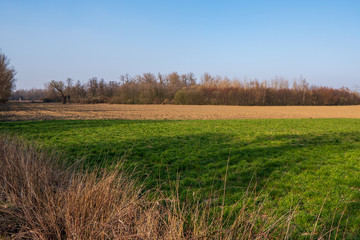 green meadow with field and trees in background and beautiful blue sky