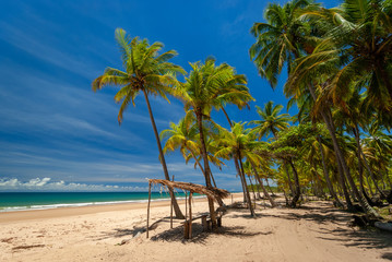 Obraz na płótnie Canvas Taipu de Fora Beach, Penisula de Marau, Sunny day with coconut trees by the sea, on this beautiful and peaceful beach in southern Bahia, Brazil on February 23, 2008. 