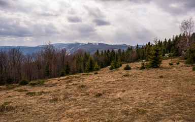 Fototapeta na wymiar Meadow in mountains with forest and mountain peaks in background, Poland Beskidy