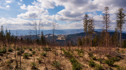 Naklejka premium viview of mountains and meadow with cloudsew of mountains and meadow with clouds