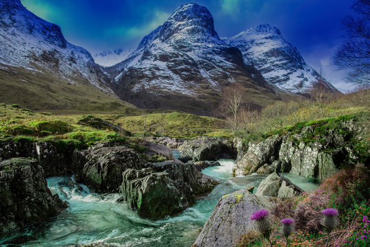 view of the valley glencoe, highlands, scotland, uk with thistles and heather next to the river coe and snow capped mountains.
