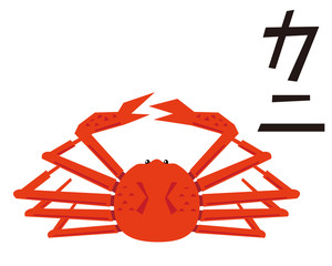 ズワイガニ の写真 ロイヤリティフリーの画像 グラフィック