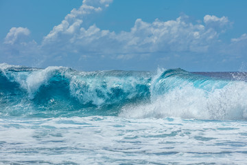 Fototapeta premium vague de Polynésie francaise