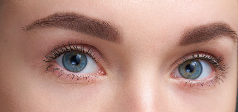 Eyebrows Care. Closeup Of Woman Beautiful Blue Eye, Perfect Shaped Brow, Long Eyelashes With Professional Makeup And Brow Gel Brush. Young Female Model Shaping Brown Eyebrows. High Resolution Image
