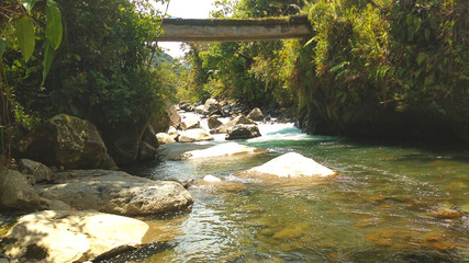 RÍO CHOCO COLOMBIA NATURALEZA © ANDRES