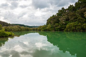 River reflection, New Zealand