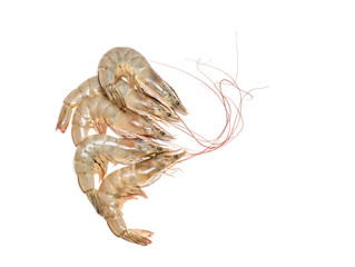 Fresh shrimp or prawn on white background, Raw prawns isolated on white background, fresh white shrimps in white  background.