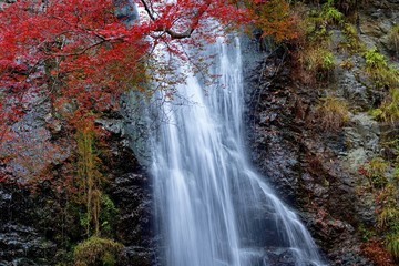 箕面大滝と紅葉のコラボ情景＠大阪