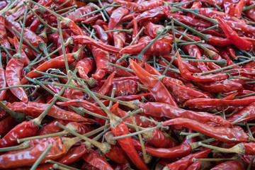 Dry hot chillis background.
