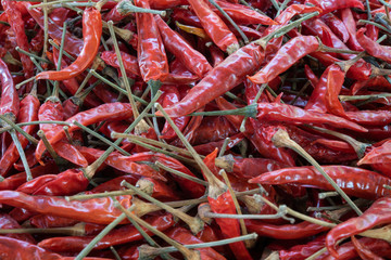 Dry hot chillis background.