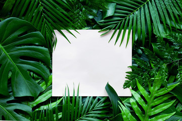 tropical green leaves and palms  background with white paper card note, nature flat lay concept