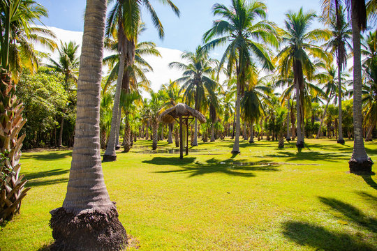 Isla en La Ventanilla, Oaxaca, M&eacute;xico