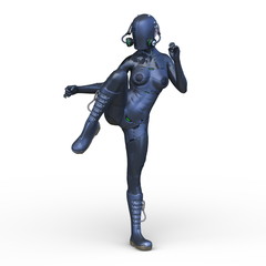 サイバーウーマン