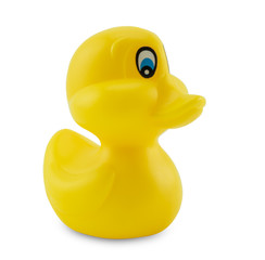 Yellow rubber duck