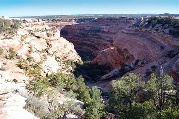 Canyon country in the Bears Ears wilderness of Southern Utah.