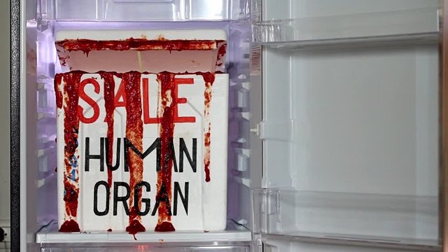 The cooling box with human organs for transplantation inside fridge. Illegal sale of human organs.