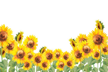 ヒマワリ畑の水彩画 Watercolor sunflower garden