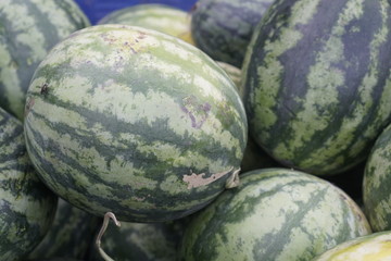 watermelon at market