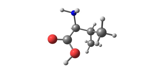 Valine molecular structure isolated on white