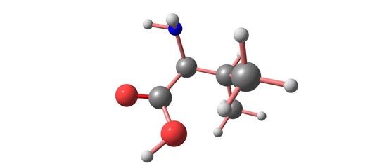 Valine molecular structure isolated on white