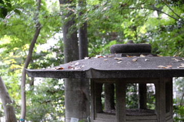 日本庭園　木漏れ日の下の石灯籠　Stone lanterns in a traditional Japanese garden (Tokyo, Japan)