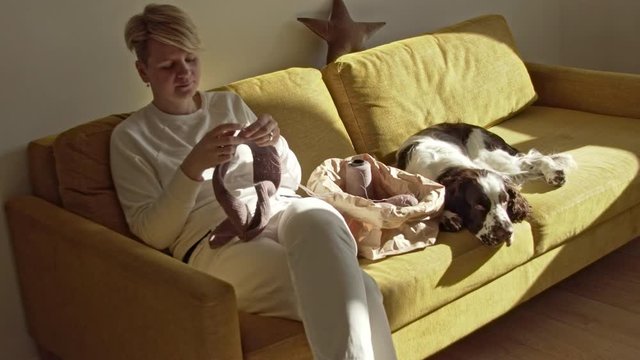Woman knitting needles on the couch next to the lying dog at the sunny day 