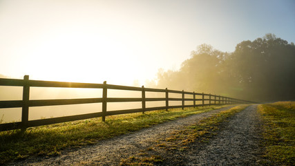 Foggy Country Road at Sunrise - Powered by Adobe