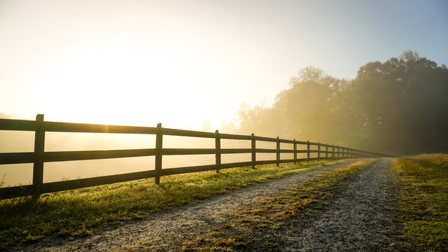 Foggy Country Road at Sunrise