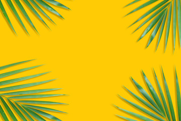 Fototapeta na wymiar Palm leaf on yellow background with space for text.