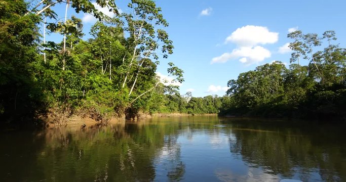 Speeding upstream on the Rio Tiputini, the Ecuadorian Amazon, The river runs through pristine primary rainforest bordering Yasuni National Park