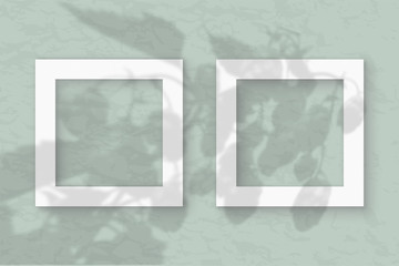 The 2 square frames on a pastel green wall background. Mockup overlay with the plant shadows. Natural light casts shadows from the tops of field plants and flowers. Flat lay, top view