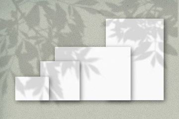 Several horizontal and vertical sheets of white textured paper against a gray wall. Mockup overlay with the plant shadows. Natural light casts shadows from the tree's foliage