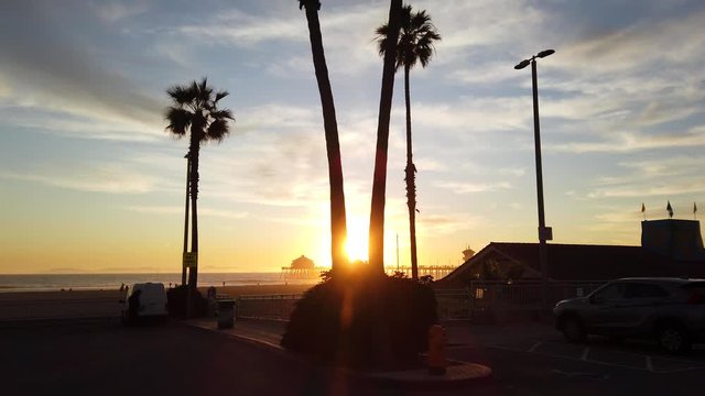 Palm trees and beach during California sunset 