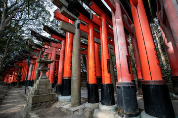 Torii gate, Kyoto, Japan : 2019 January 25. A lots of Torii gate is along the road to the top of mountain in Fushimi Inari shrine, the most famous landmark in Kyoto.