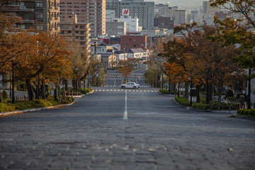 Fototapeta premium Romantic slope in Hakodate city, Hokkaido, Japan. The famous street with a nice city view background.