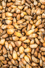 Maíz chulpi frito, el maíz usado en las cevicherías del Perú. 