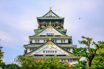Osaka castle, the most famous landmark in Osaka, Japan.