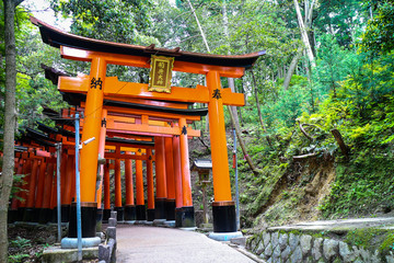 Torii gate, Kyoto, Japan : 2019 January 25. A lots of Torii gate is along the road to the top of mountain in Fushimi Inari shrine, the most famous landmark in Kyoto.