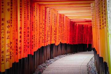 Torii gate, Kyoto, Japan : 2019 January 25. A lots of Torii gate is along the road to the top of mountain in Fushimi Inari shrine, the most famous landmark in Kyoto.