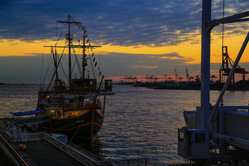 Osaka Kaiyukan, Japan : 2015 November 4. The most famous aquarium in the city. There are many species of aquatic animals.