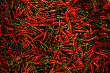 Naklejka premium Red Chillies Background,Selective focus,Planted in Asia, Thailand.