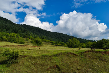 An Eye catching view of landscape out side a village at Kashmir,India.