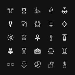 Editable 25 ornate icons for web and mobile