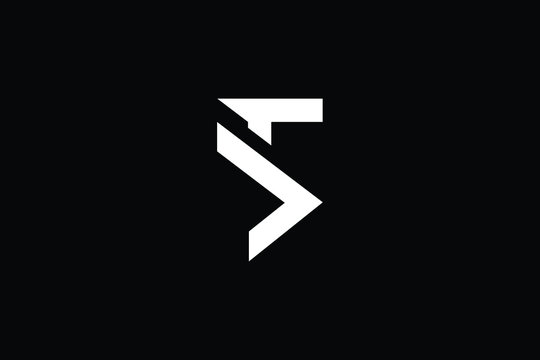 Minimal elegant monogram art logo. Outstanding professional trendy awesome artistic TS ST TD DT initial based Alphabet icon logo. Premium Business logo White color on black background