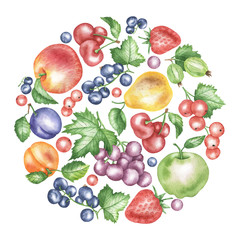 Circle of fruits
