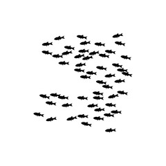 Obraz premium abstract fish vector background design template