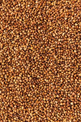 Buckwheat close-up. Background for the designer. Grits for Wallpaper.