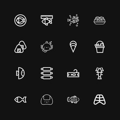 Editable 16 salmon icons for web and mobile